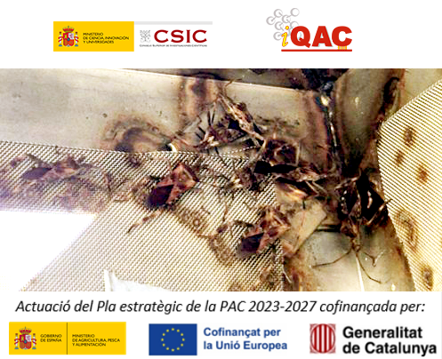 Institute for Advanced Chemistry of Catalonia tweet media