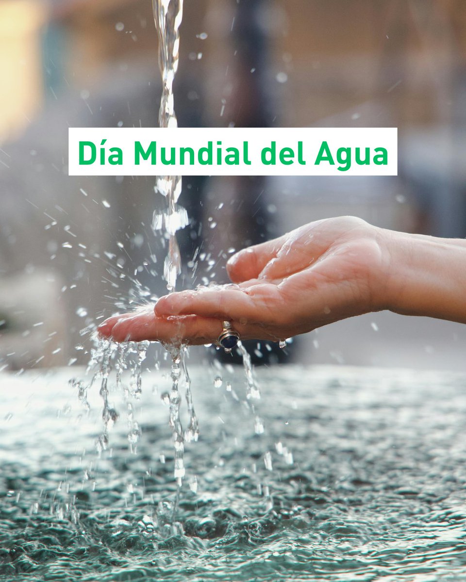 Catedra Cambio Climatico Aguas Alicante tweet media