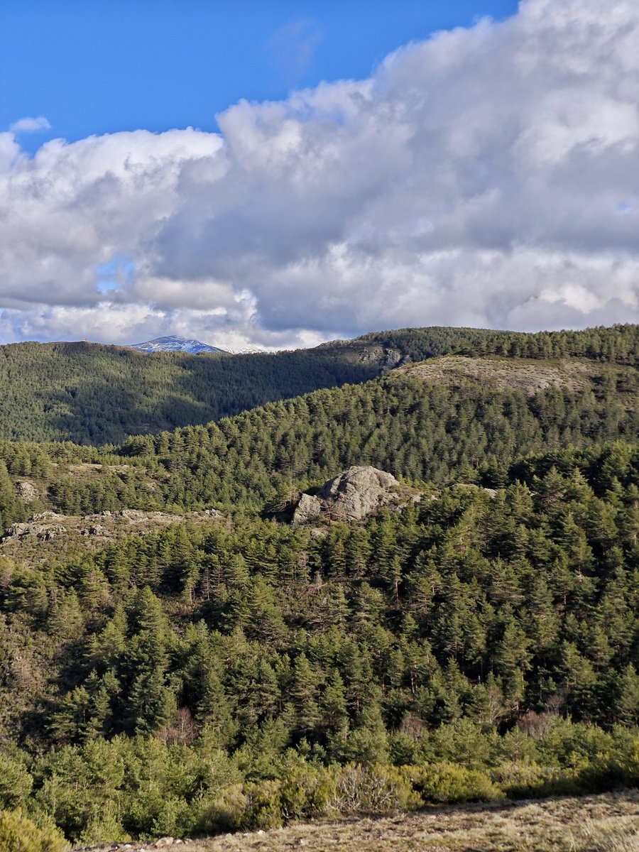 Al Filo Infrüngible tweet media