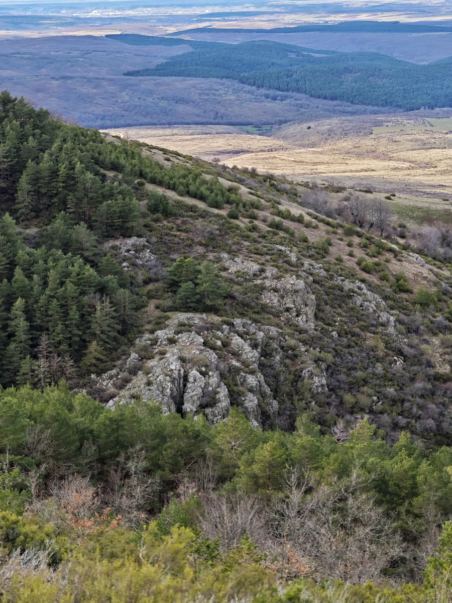 Al Filo Infrüngible tweet media