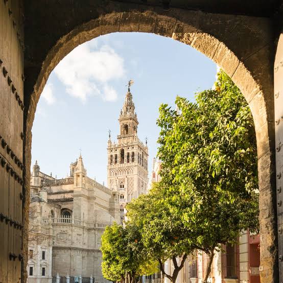 tonysvq88's tweet photo. 1. Las finales son abusivas SIEMPRE
2. Es primavera y pre feria en Sevilla, por lo tanto TEMPORADA ALTA
3. La ley de la oferta y la demanda
4: No se puede pagar una maravilla universal a precio de suburbio. Esto hay que pagarlo, miarmas: https://t.co/q5pxznMoGQ