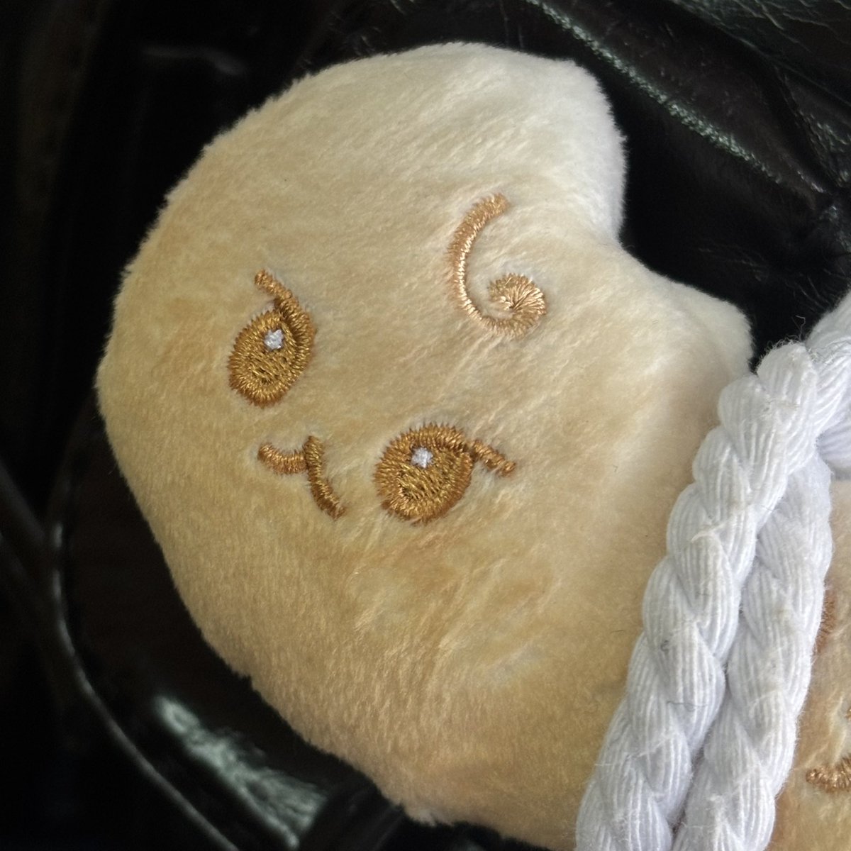 แต่ของจริงน้องน่ารักนะทุกคน เป็นขนนุ่มๆ แต่แอบจิ๋วไปหน่อย ขนาดกับลักษณะน่าจะเหมือนของโดยองเลยยยย