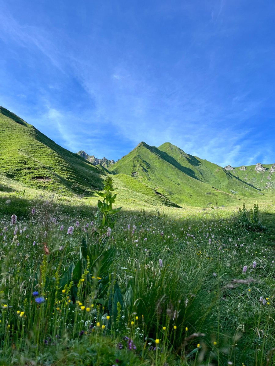 Massif du Sancy tweet media
