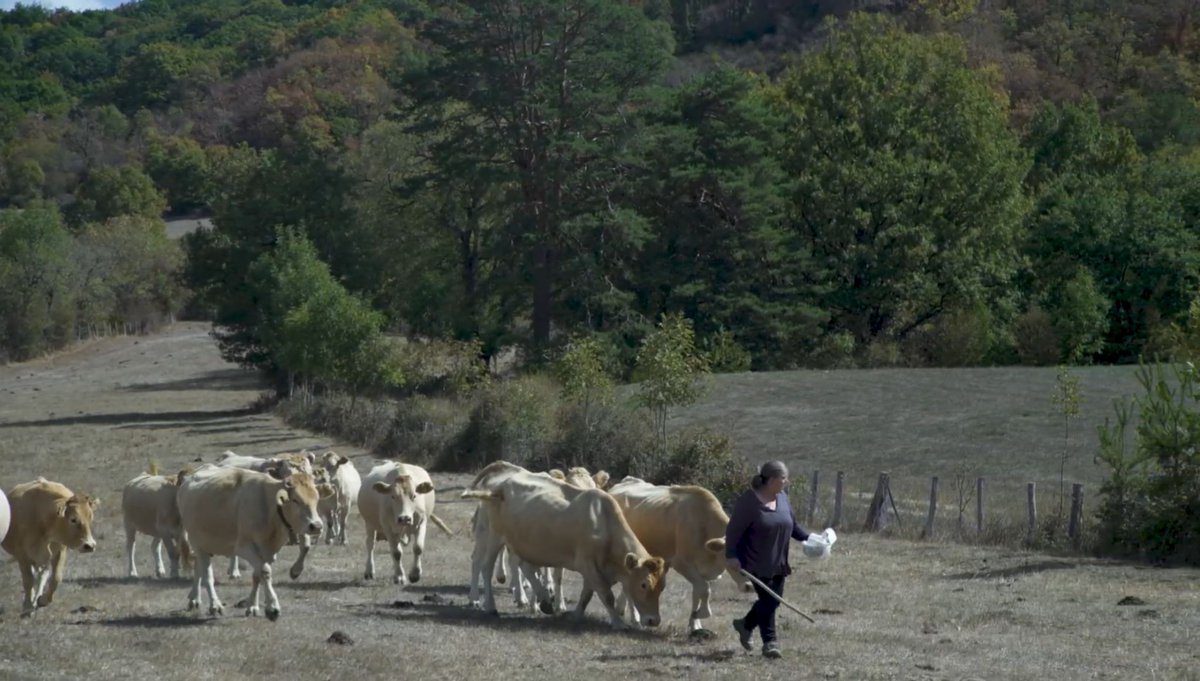 InstMujeres's tweet photo. 💚 Algunas de las emprendedoras de nuestro programa Desafío Mujer Rural serán protagonistas en La Aventura del Saber, de RTVE. 

📺 La emisión de los vídeos, realizados por el Instituto de las Mujeres y @tierravoz comienza hoy de forma semanal y quincenal. https://t.co/Qzf1GnU8po