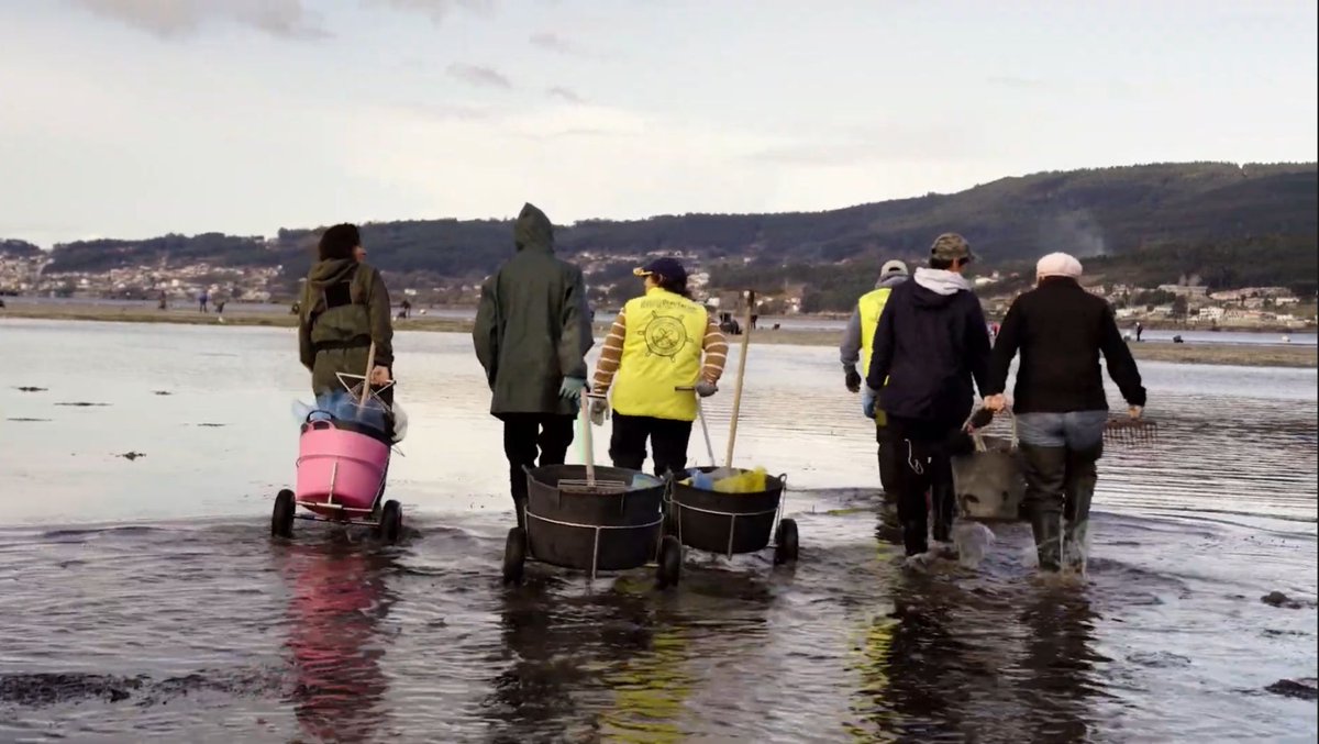 InstMujeres's tweet photo. 💚 Algunas de las emprendedoras de nuestro programa Desafío Mujer Rural serán protagonistas en La Aventura del Saber, de RTVE. 

📺 La emisión de los vídeos, realizados por el Instituto de las Mujeres y @tierravoz comienza hoy de forma semanal y quincenal. https://t.co/Qzf1GnU8po