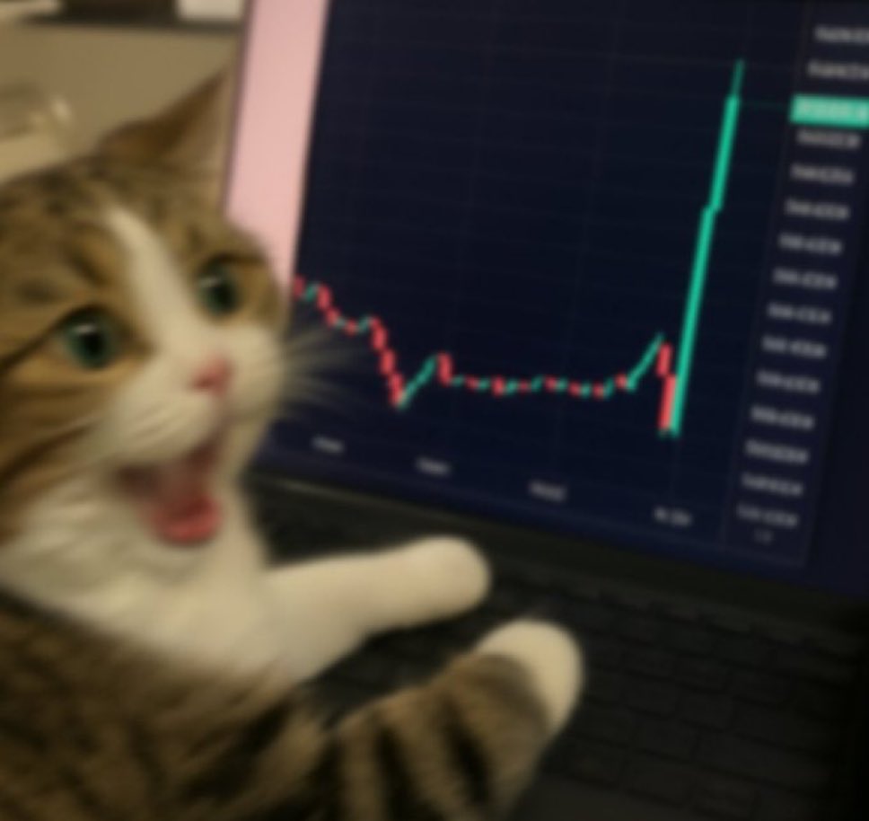 Heu Intern tweet media