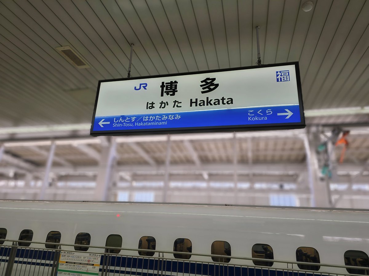 つみき tweet media