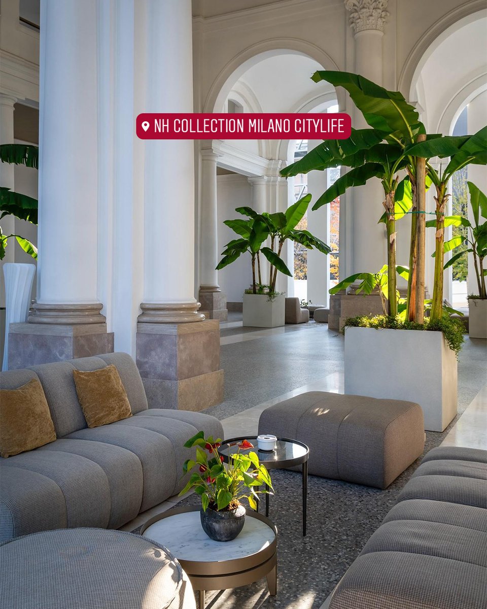 NH Collection tweet media