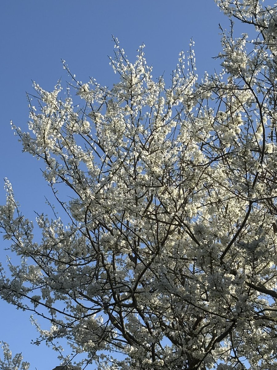 Ian Marshall tweet media