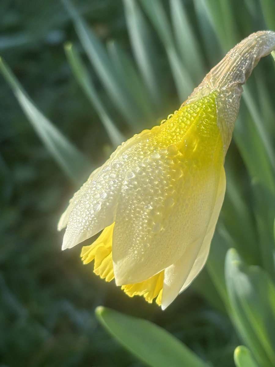 Ian Marshall tweet media