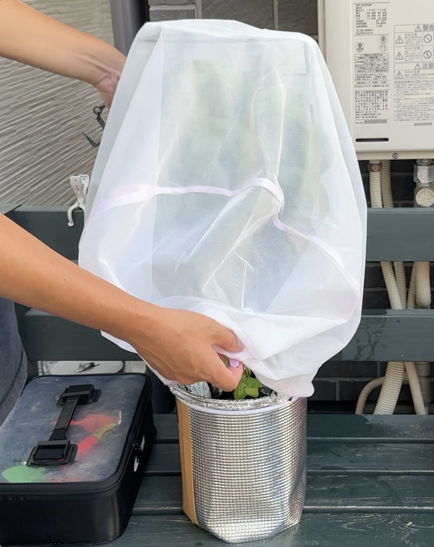 みかんぼーや1987 tweet media