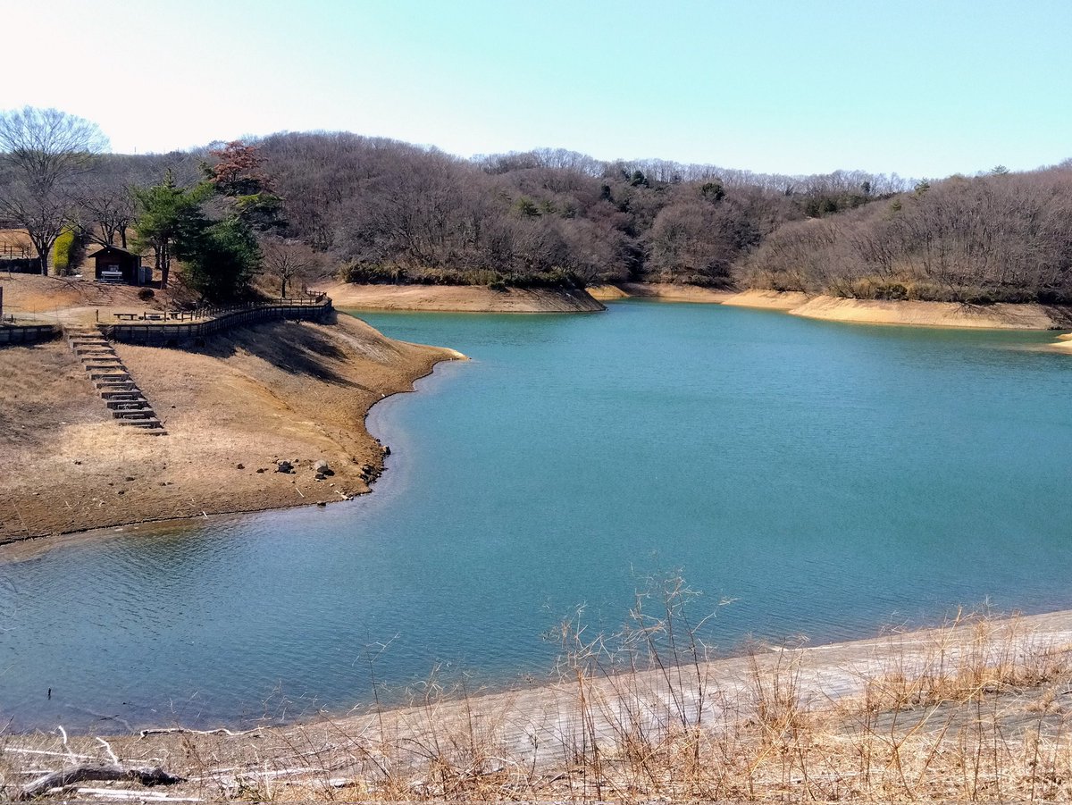 496sanemon's tweet photo. 大塩湖から供給を受ける竹沼も水少ないな https://t.co/NRxoXv7ivm