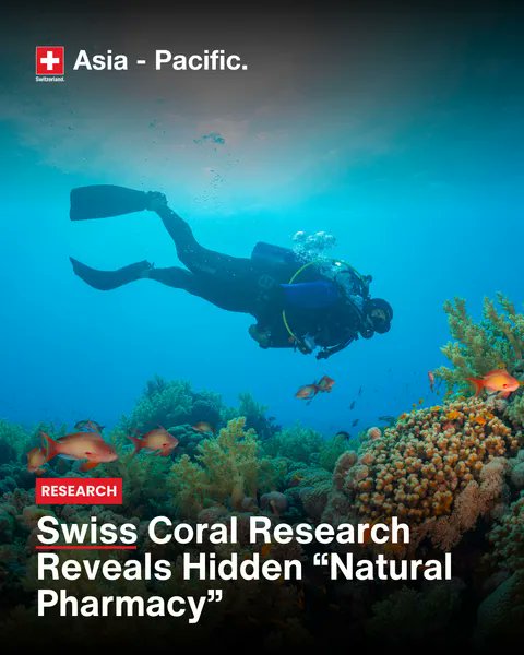 Ambassador Frank Grütter tweet media