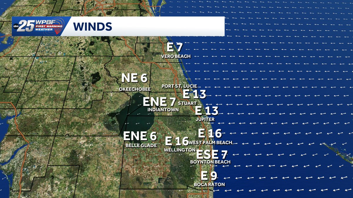 Sandra Shaw tweet media