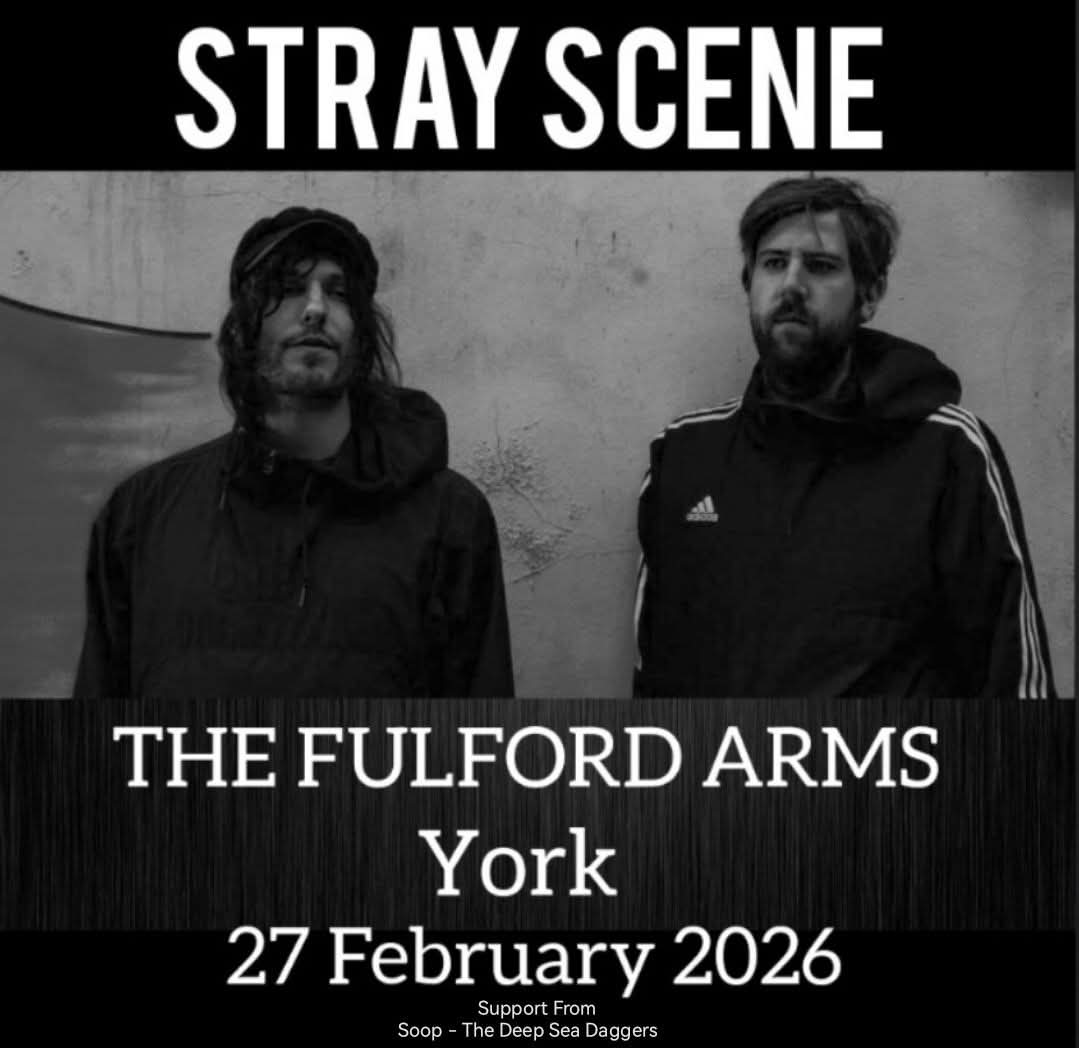 Stray Scene tweet media