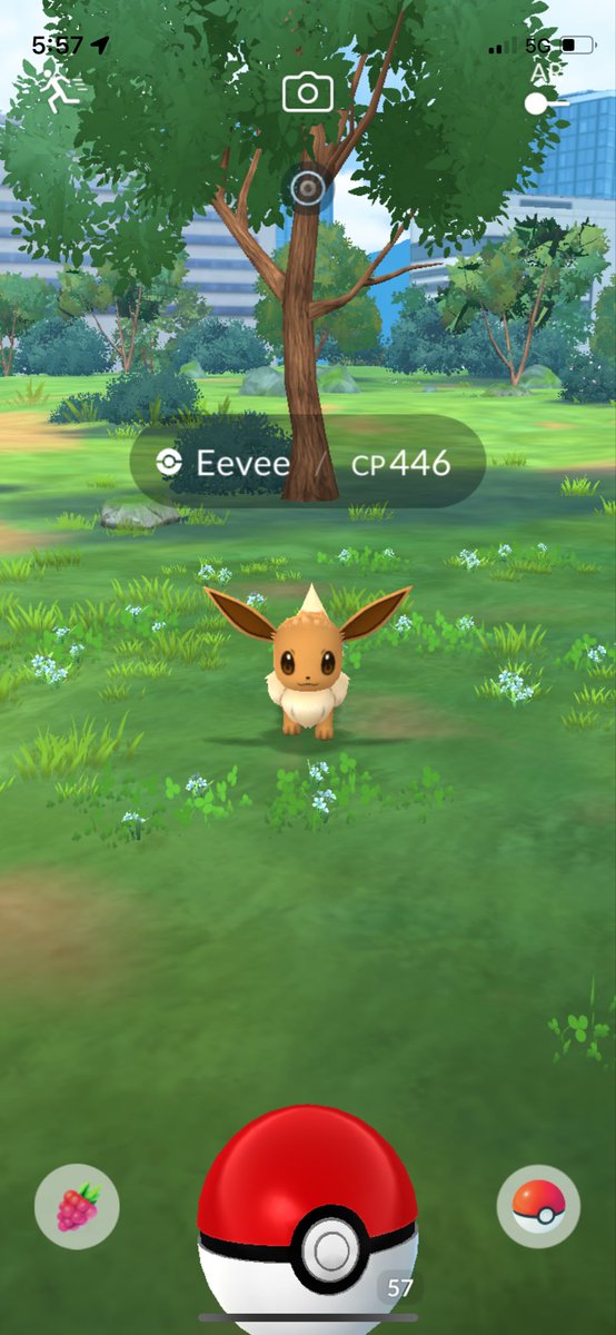 JohnPatrick_101's tweet image. #Eevee #NormalTypePokemon #PokemonGoAustralia #PokemonGo #CombatPower #EeveeCP446 #PokemonGoApp #Pokemon @PokemonGoNews #EvolutionPokemon