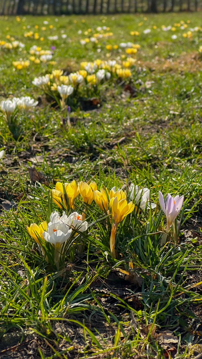 Georg Waldmensch 🌳 tweet media