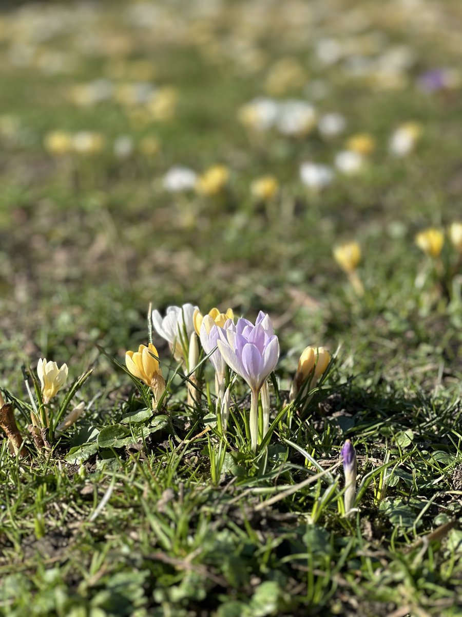 Georg Waldmensch 🌳 tweet media