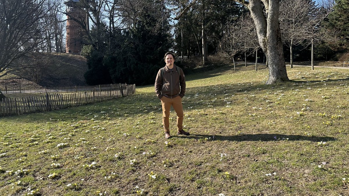 Georg Waldmensch 🌳 tweet media