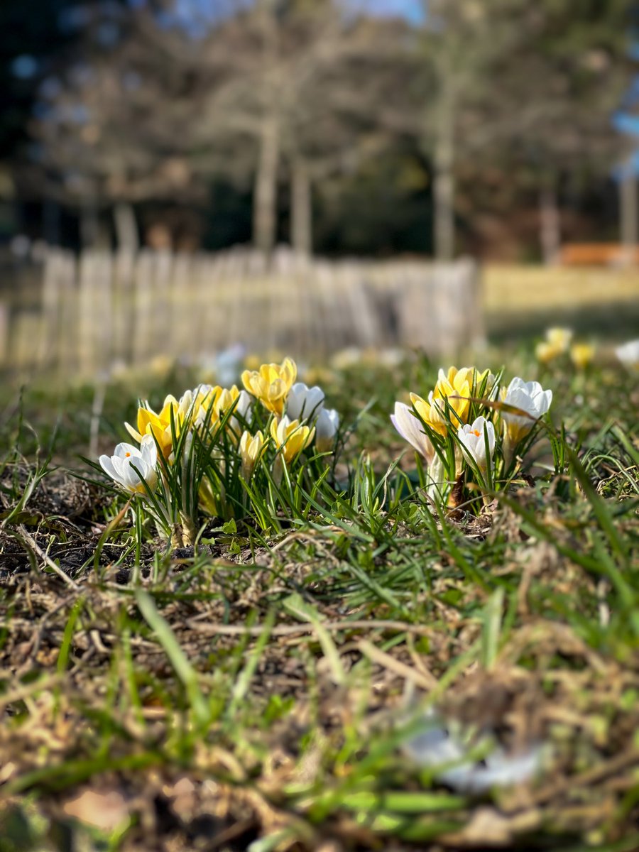 Georg Waldmensch 🌳 tweet media