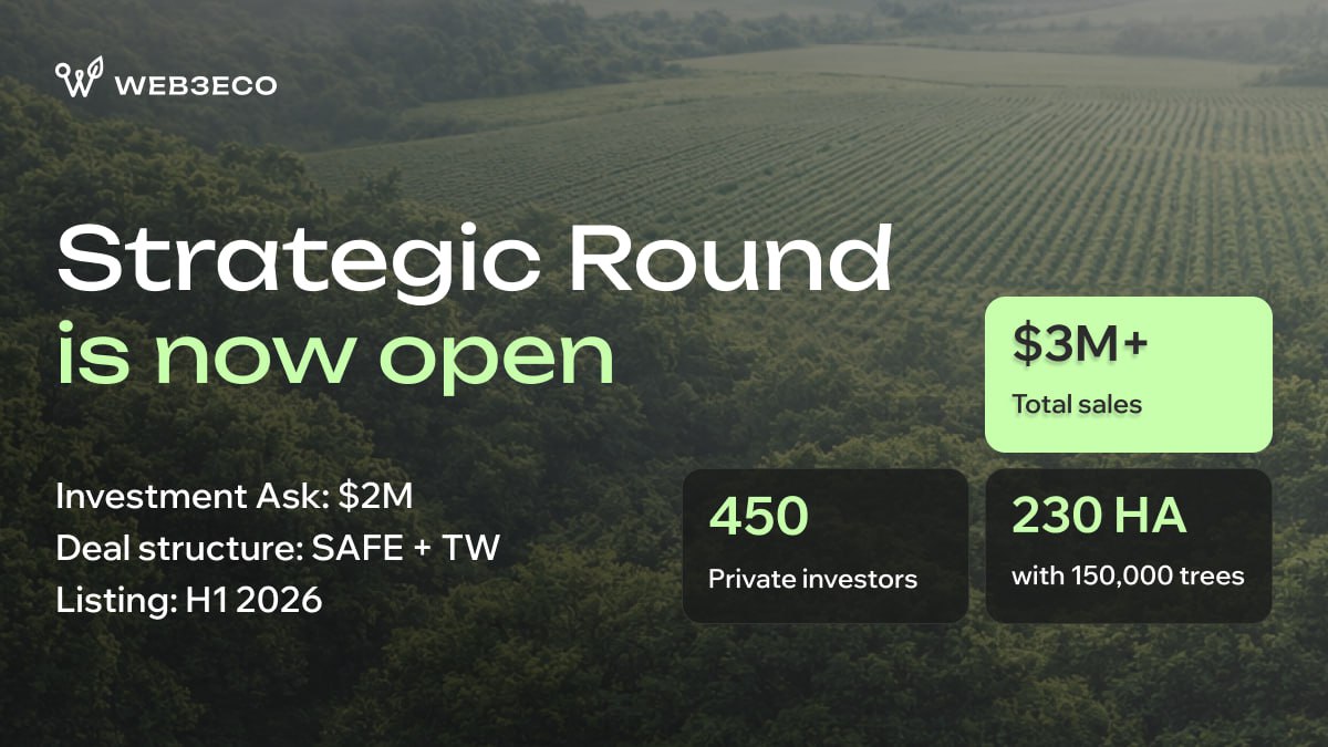 Web3Eco 🌳 tweet media