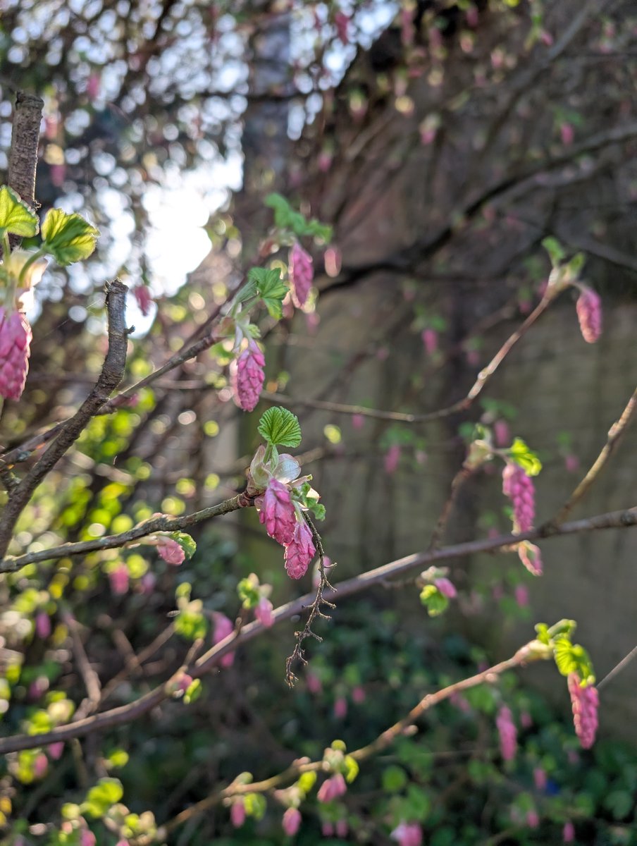 Haslemere Museum tweet media
