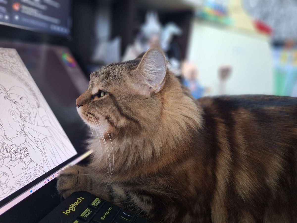 allcorrect tweet media