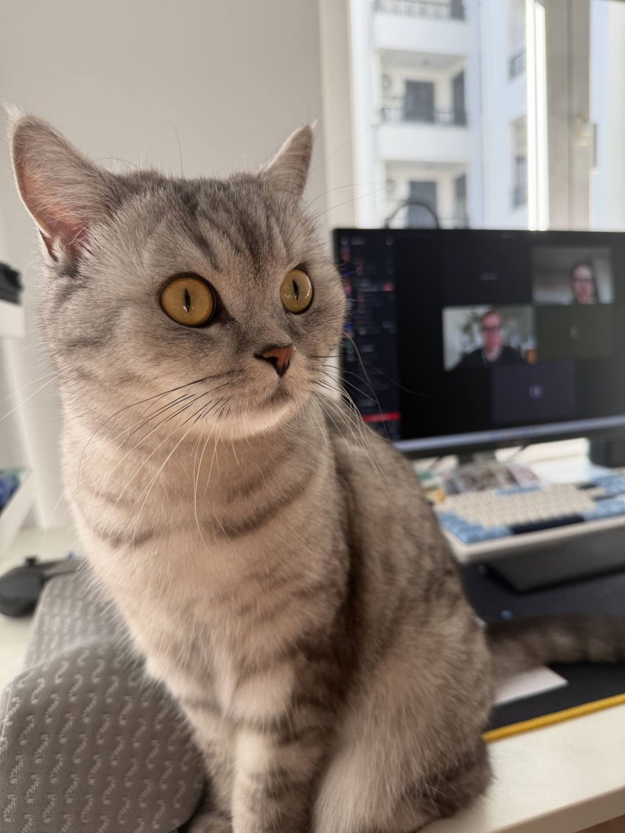 allcorrect tweet media