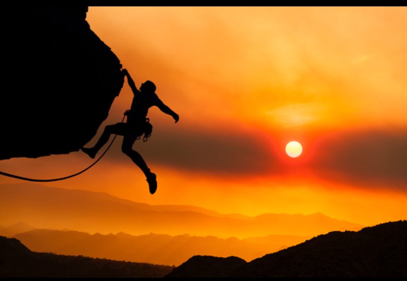 LE CARDINAL Du Futur 🇨🇩🇨🇩🇨🇩 tweet media