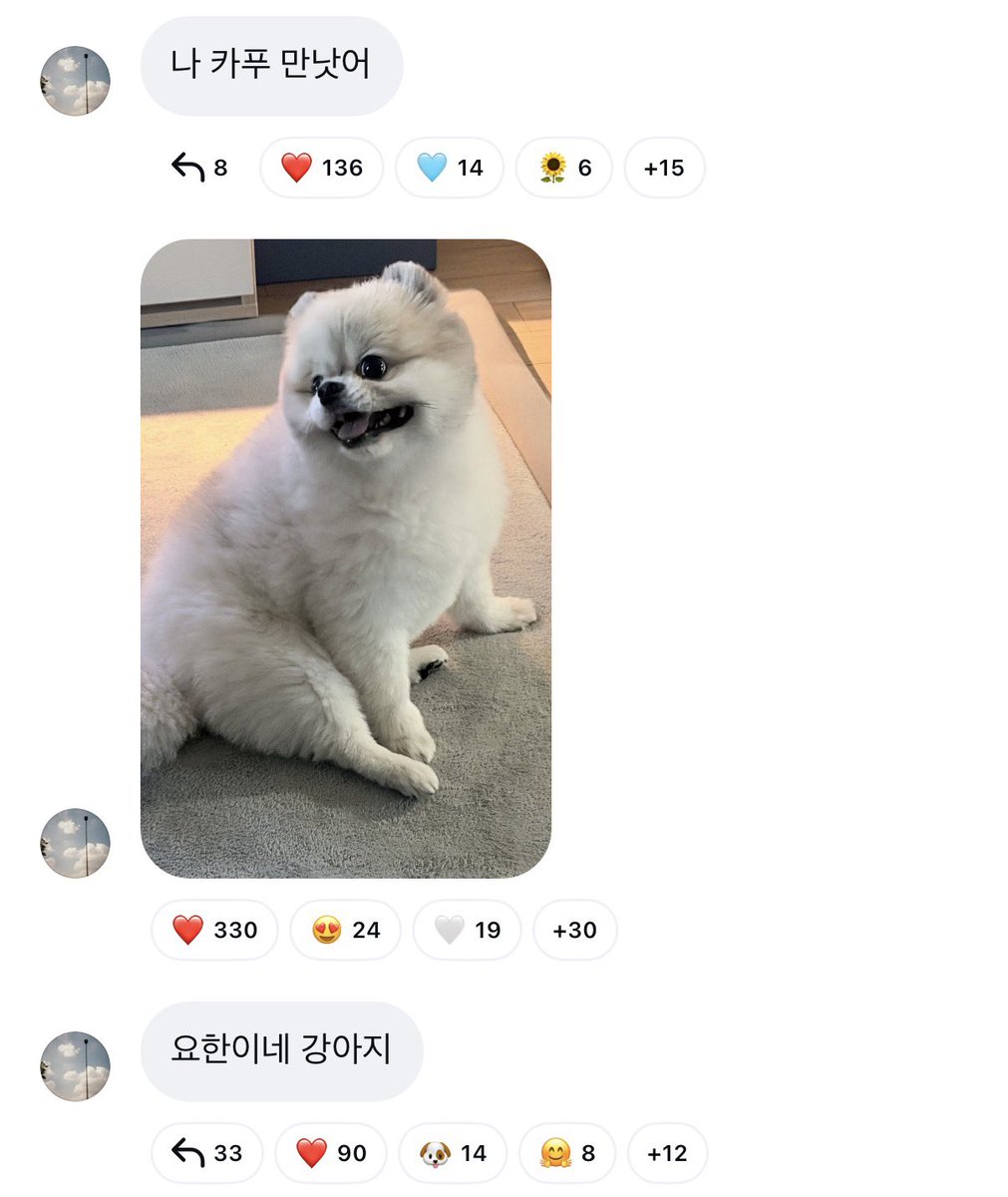 한결요한 만났나봄 카푸 저도 보고싶어요 ,,,