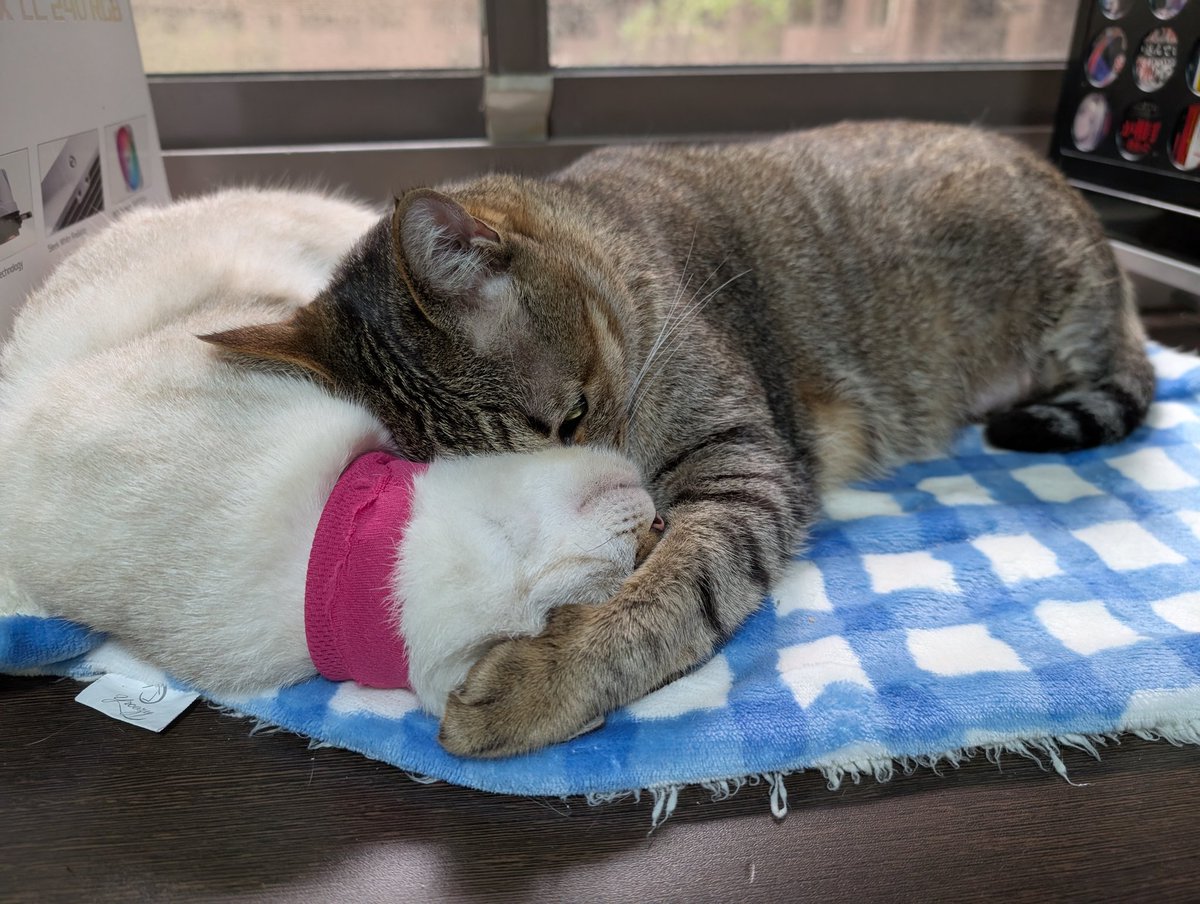 お前も吸ってんの…？