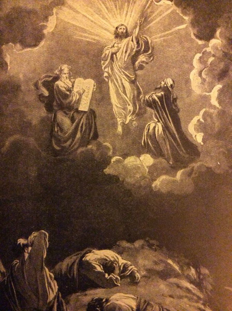 BucaraBrasil's tweet photo. Deus, Pátria e Bucara 🙏🏼💛 https://t.co/15UxI69oZn