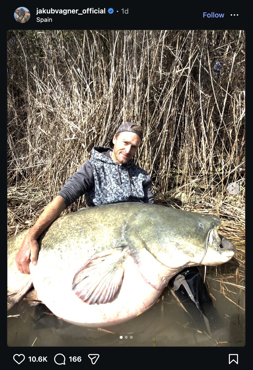 tento typ ryby vždy vidím jen na fotkách Jakuba Vágnera