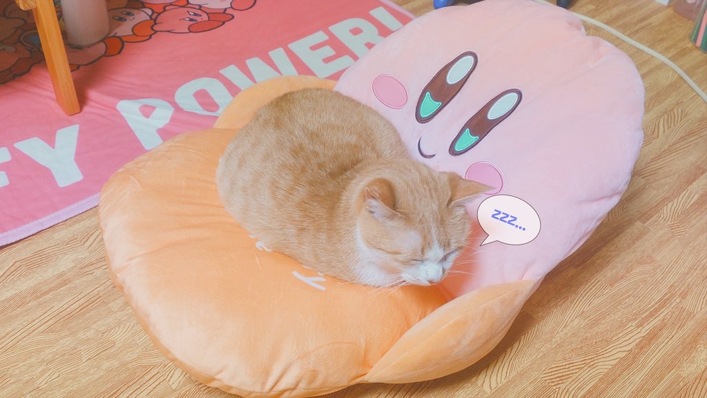 みちゃ✰ะ (@michapoyo222) / Posts / X