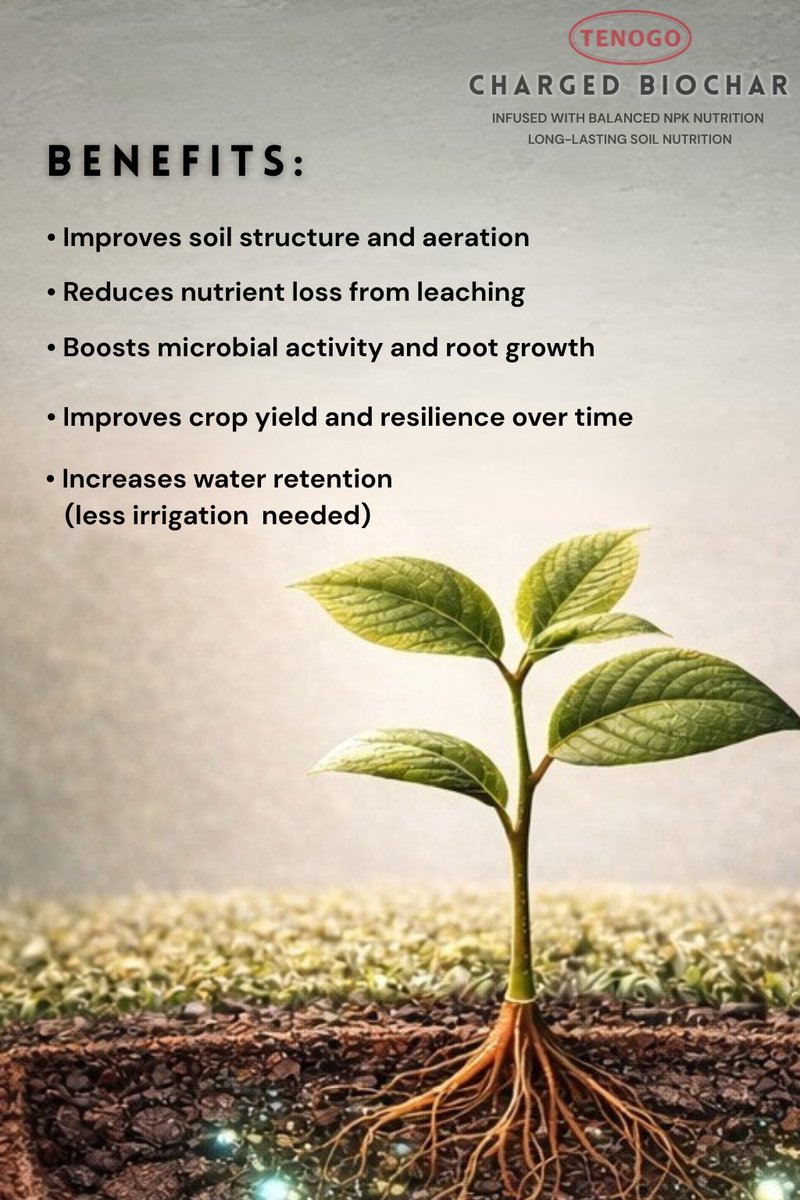 ReUse_Trade's tweet photo. 𝐈𝐍𝐓𝐑𝐎𝐃𝐔𝐂𝐈𝐍𝐆 𝐓𝐄𝐍𝐎𝐆𝐎 𝐂𝐇𝐀𝐑𝐆𝐄𝐃 𝐁𝐈𝐎𝐂𝐇𝐀𝐑  - 𝐌𝐀𝐃𝐄 𝐈𝐍 𝐌𝐀𝐋𝐃𝐈𝐕𝐄𝐒

Give your soil the power it deserves!

Unlike ordinary biochar, 𝐓𝐄𝐍𝐎𝐆𝐎 Charged Biochar is pre-charged with balanced NPK nutrition. The best food  for your plants. https://t.co/HHX8zJOV2i
