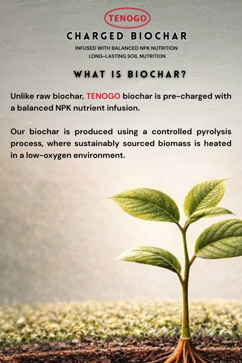 ReUse_Trade's tweet photo. 𝐈𝐍𝐓𝐑𝐎𝐃𝐔𝐂𝐈𝐍𝐆 𝐓𝐄𝐍𝐎𝐆𝐎 𝐂𝐇𝐀𝐑𝐆𝐄𝐃 𝐁𝐈𝐎𝐂𝐇𝐀𝐑  - 𝐌𝐀𝐃𝐄 𝐈𝐍 𝐌𝐀𝐋𝐃𝐈𝐕𝐄𝐒

Give your soil the power it deserves!

Unlike ordinary biochar, 𝐓𝐄𝐍𝐎𝐆𝐎 Charged Biochar is pre-charged with balanced NPK nutrition. The best food  for your plants. https://t.co/HHX8zJOV2i