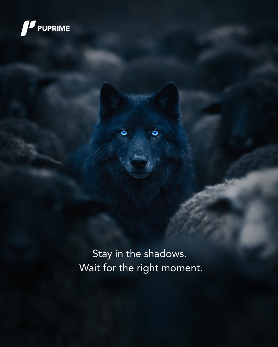 puprime's tweet photo. You don’t have to trade every setup.
Patience is part of the strategy. 💙

#PUPrime #MoreThanTrading https://t.co/SYJe3U9wQA