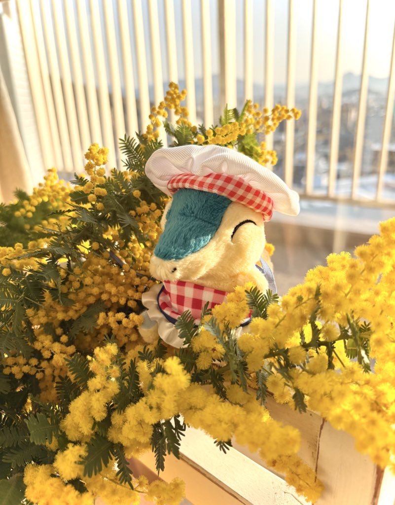 ミモザとヒノちゃん