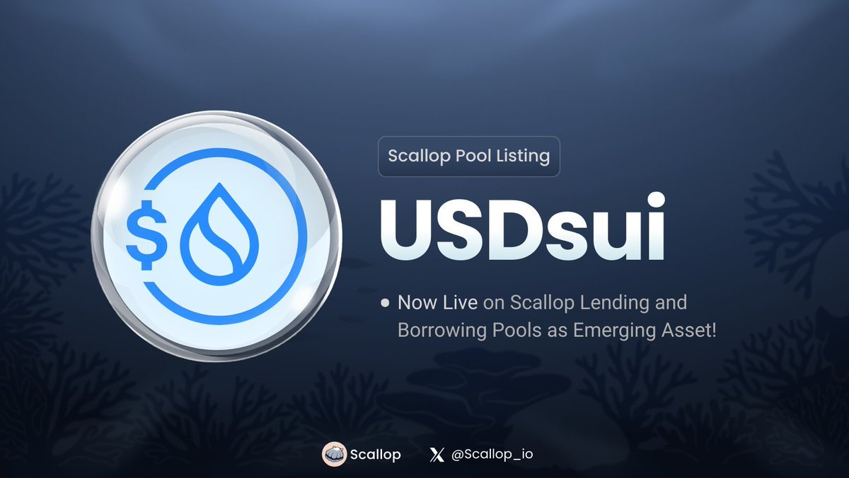 Scallop Vietnam tweet media
