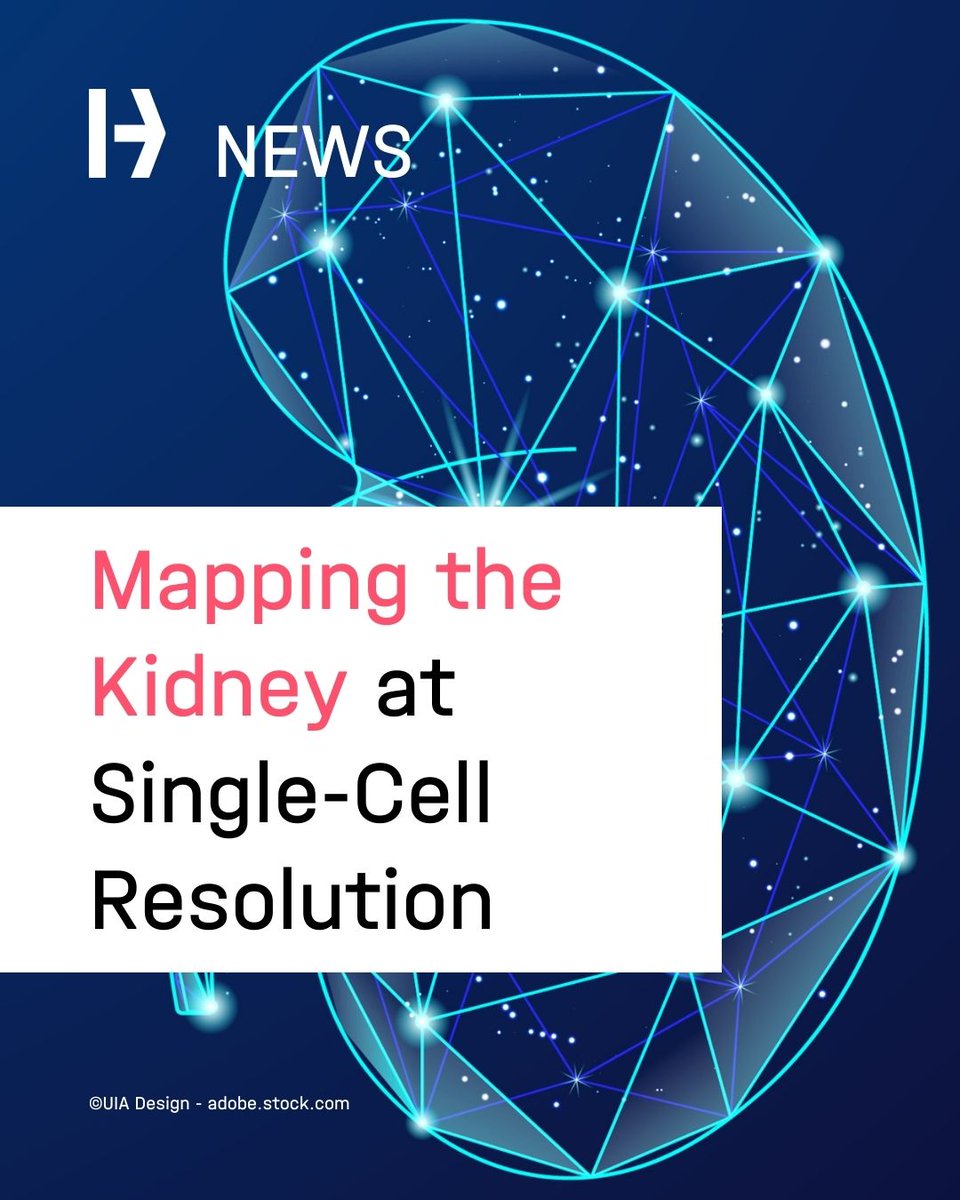 Helmholtz Munich | @HelmholtzMunich tweet media