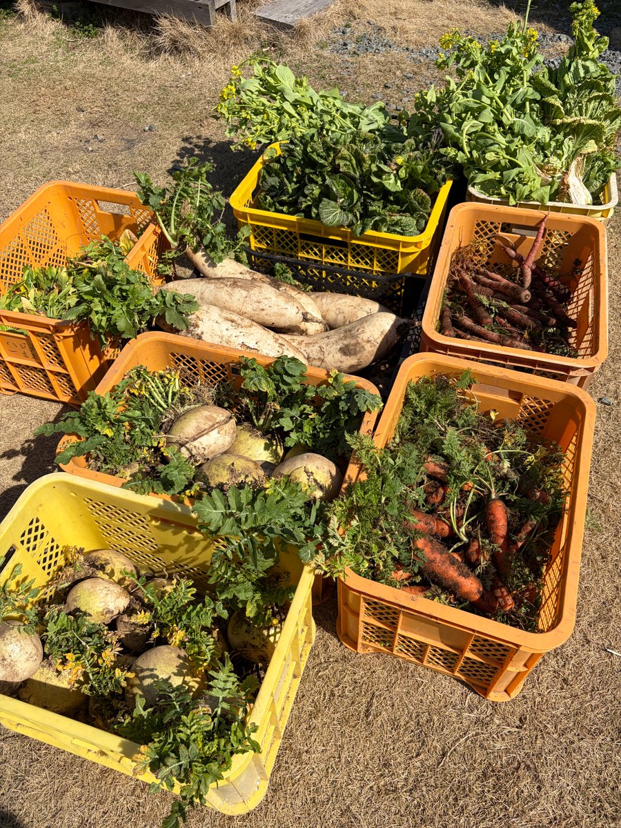 氣付きのカケラ tweet media