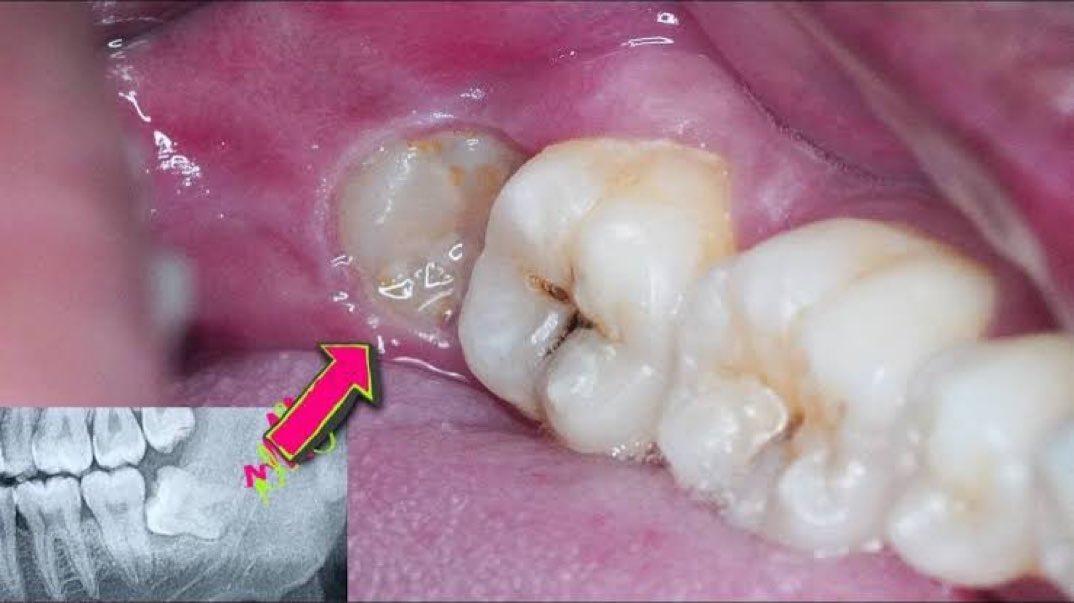 ra👩🏻‍🚀 tweet media