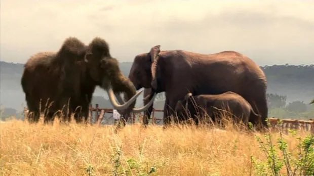 Green Type tweet media