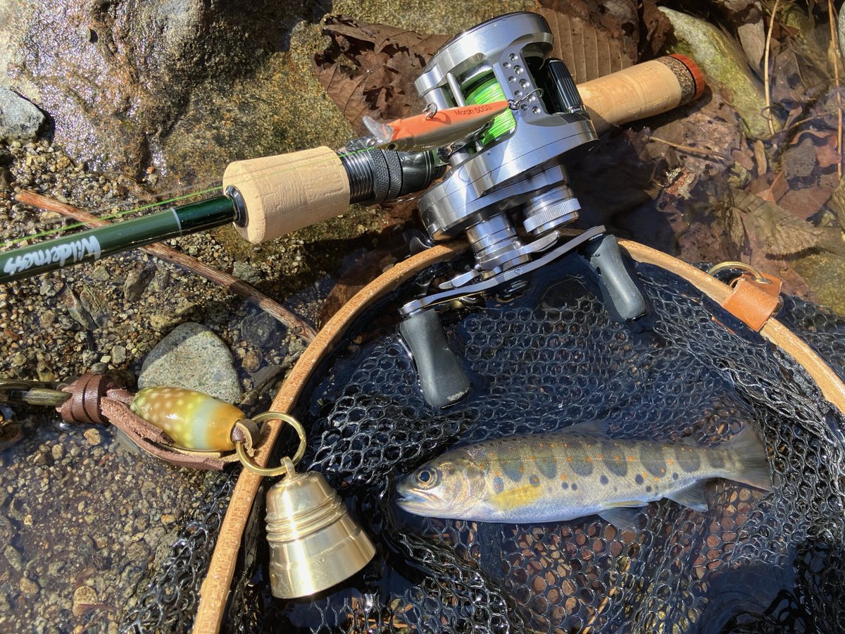 きんぐサーモンP tweet media