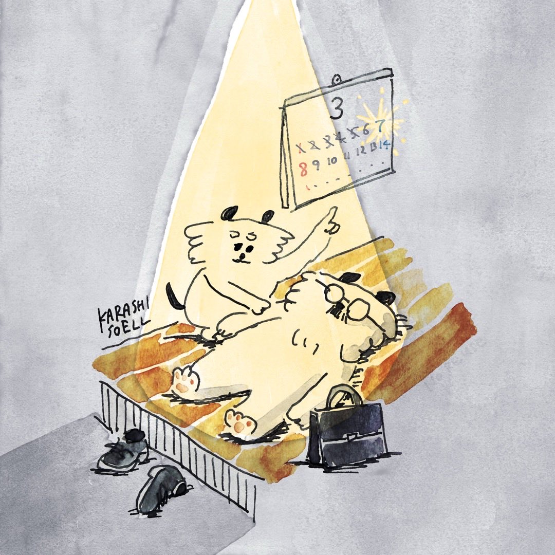 おまめ (@mame9104) / Posts / X