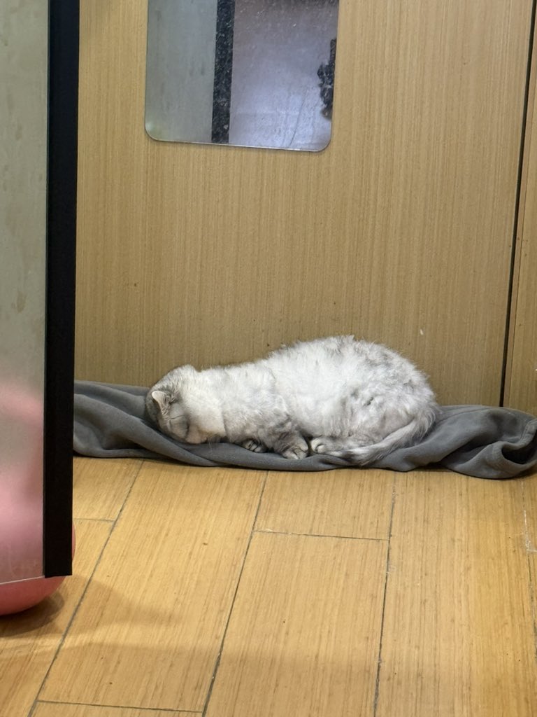 sumianpu's tweet photo. https://t.co/dzYotYu892