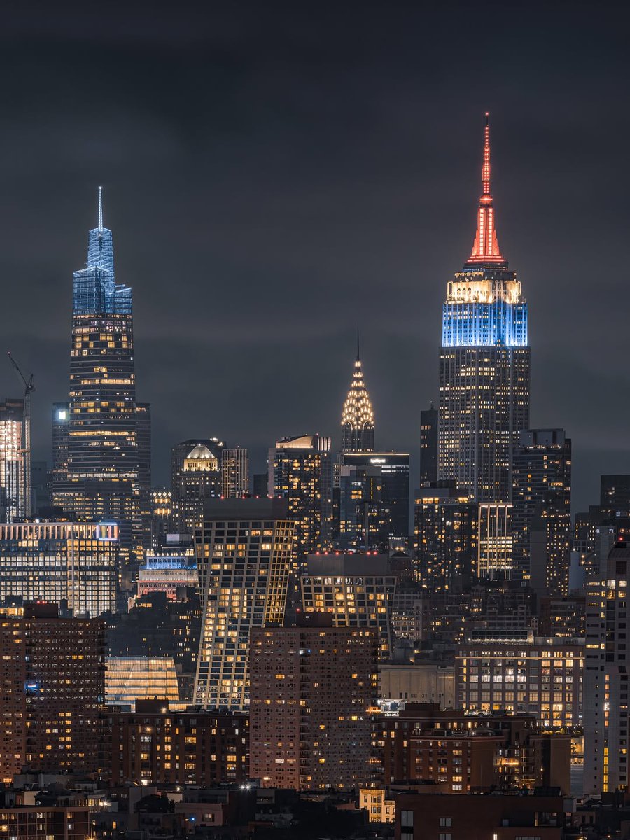 Wildscape Wonders tweet media