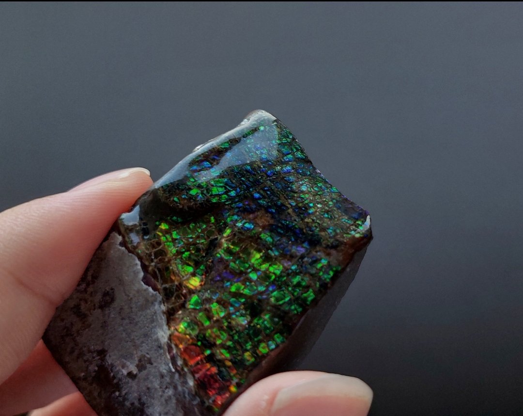 sky_01375's tweet photo. 🌈Ammolite https://t.co/3OVkoLbS7N