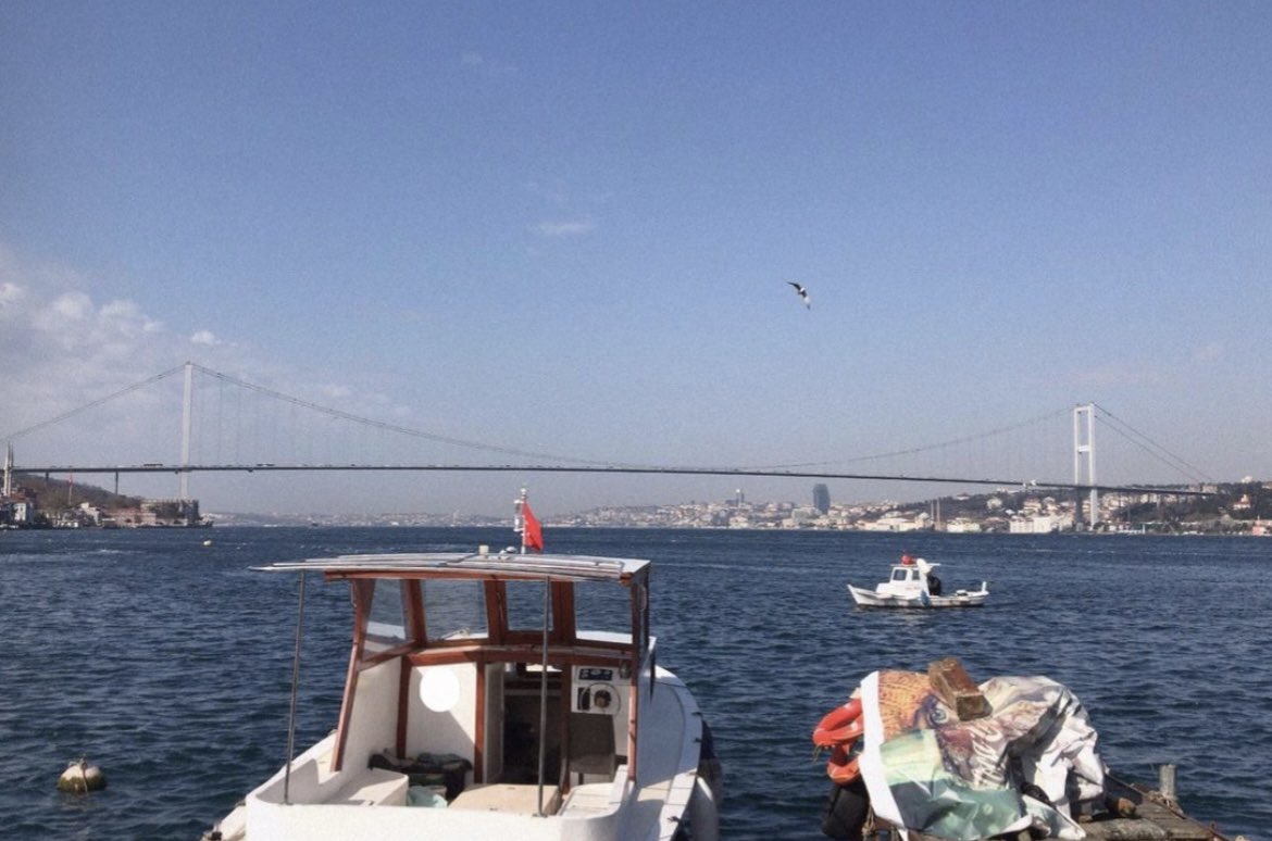 bahar geldi 
salına salına yürüme sevincinden bildiğimizi unuttuğumuz havalar.
tanıdım bu duyguyu.