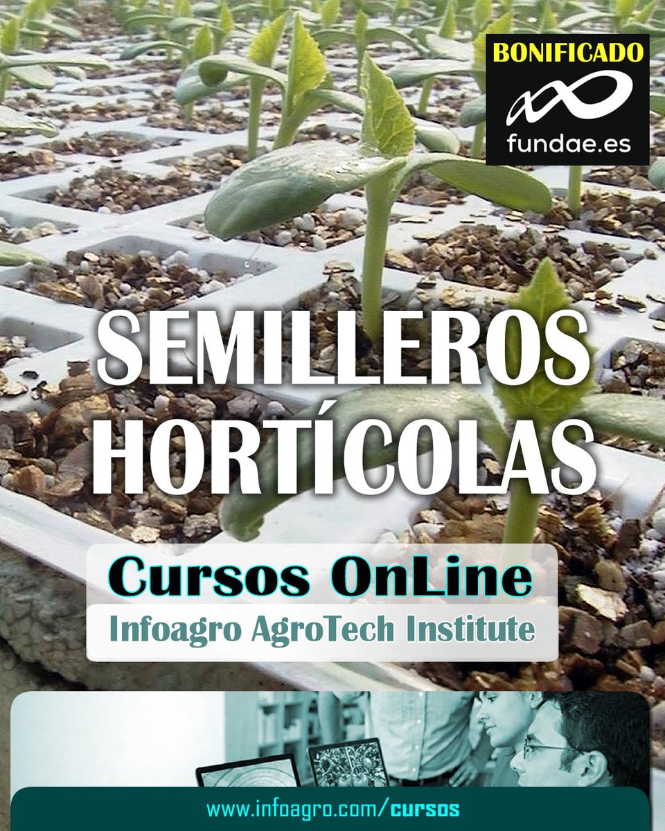 Infoagro tweet media